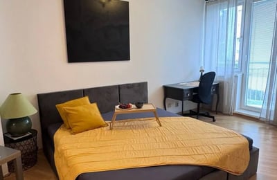 Rental of a spacious 3-room apartment, 105 m², Staré Mesto, Bratislava, Slovakia